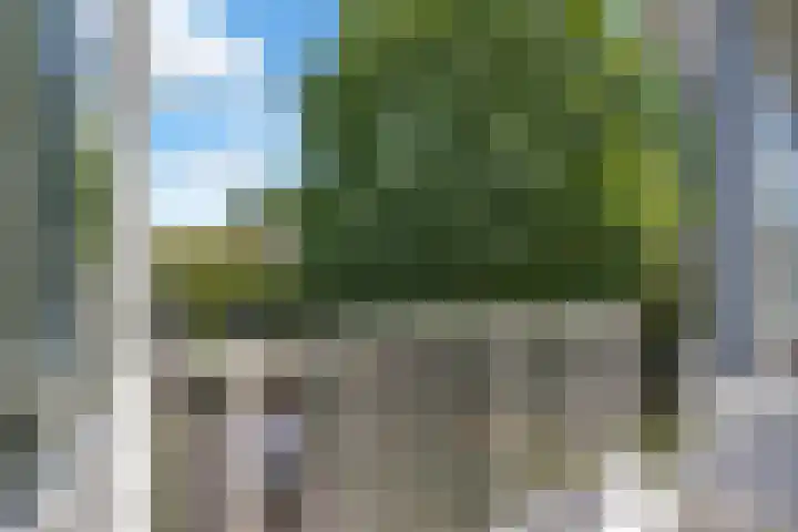Deusonelaan 10 Diessen thumbnail 52
