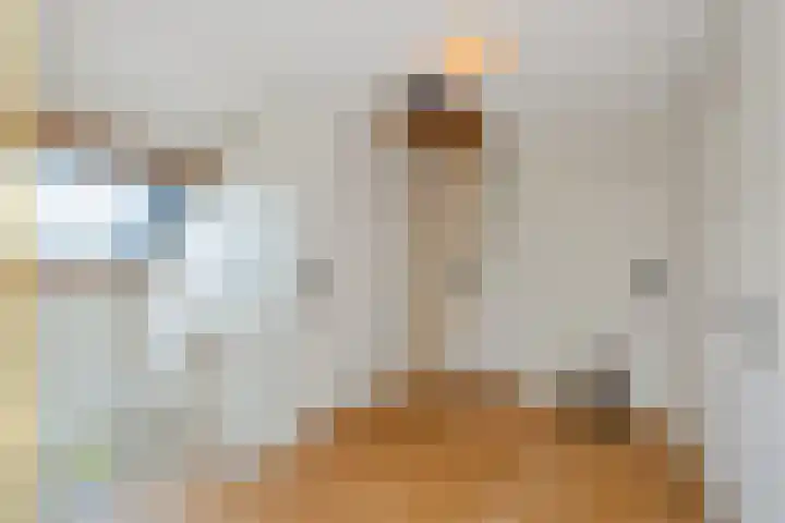 Deusonelaan 10 Diessen thumbnail 54