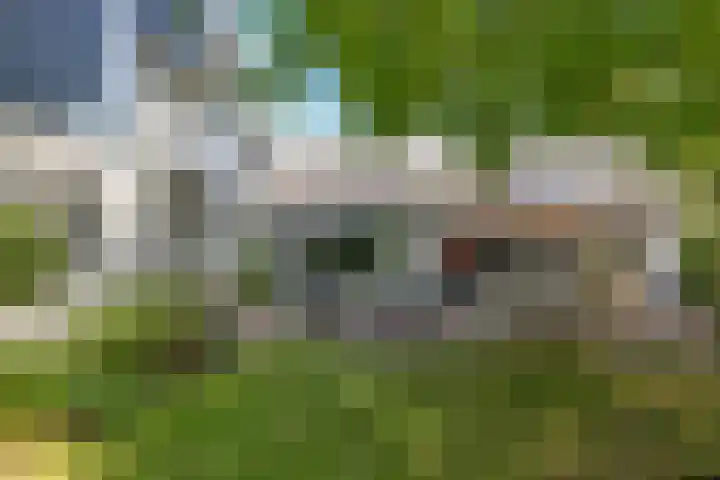 Deusonelaan 10 Diessen thumbnail 56