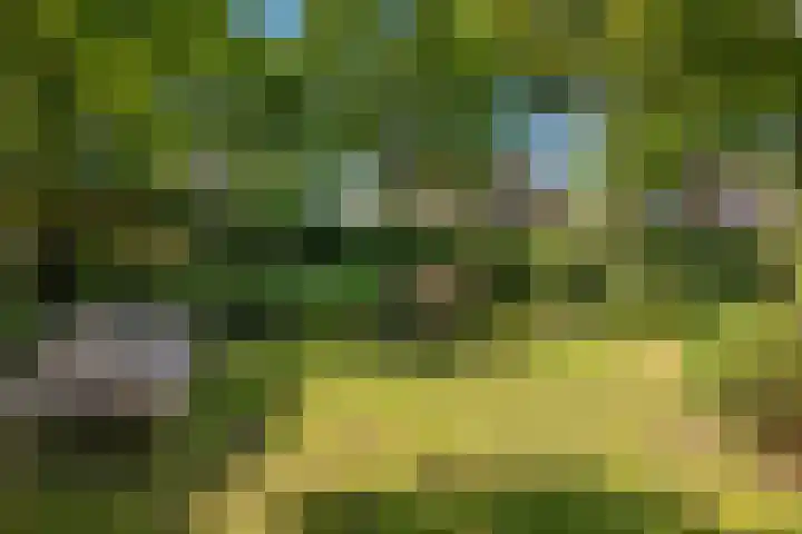 Deusonelaan 10 Diessen thumbnail 59