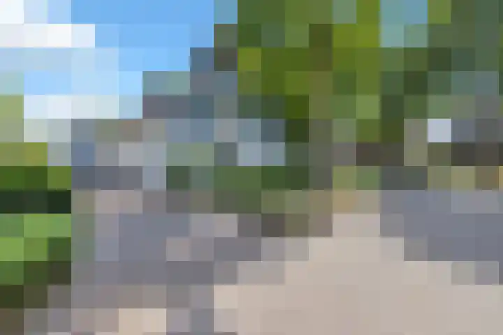 Deusonelaan 10 Diessen thumbnail 6