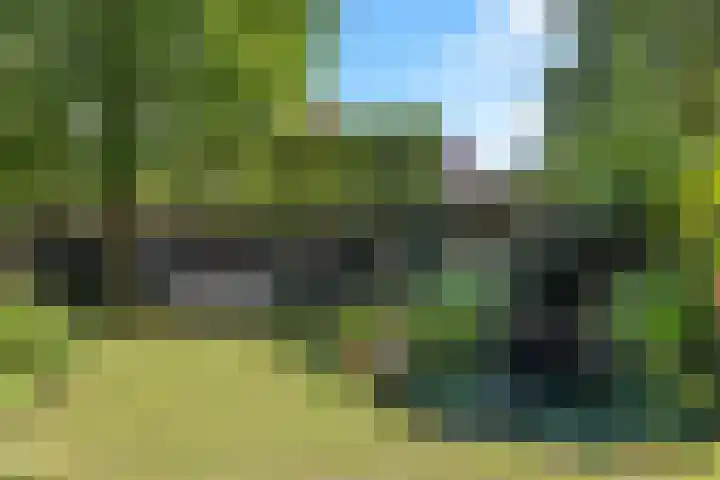 Deusonelaan 10 Diessen thumbnail 60