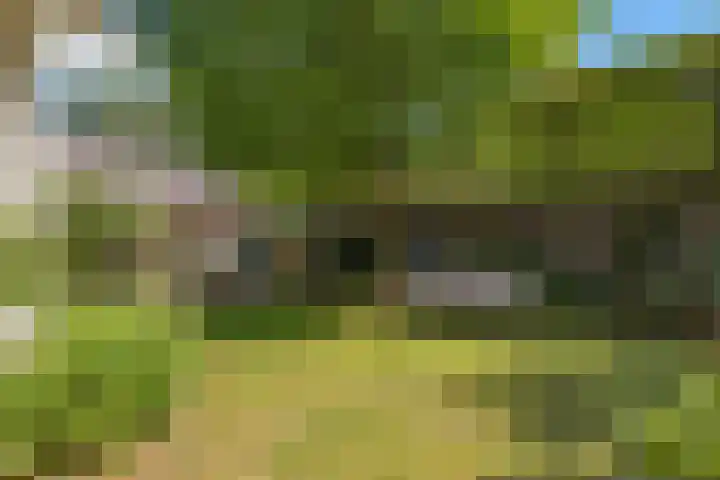 Deusonelaan 10 Diessen thumbnail 61