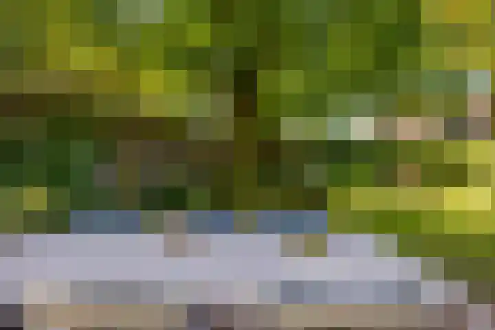 Deusonelaan 10 Diessen thumbnail 62