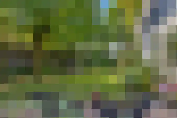 Deusonelaan 10 Diessen thumbnail 63