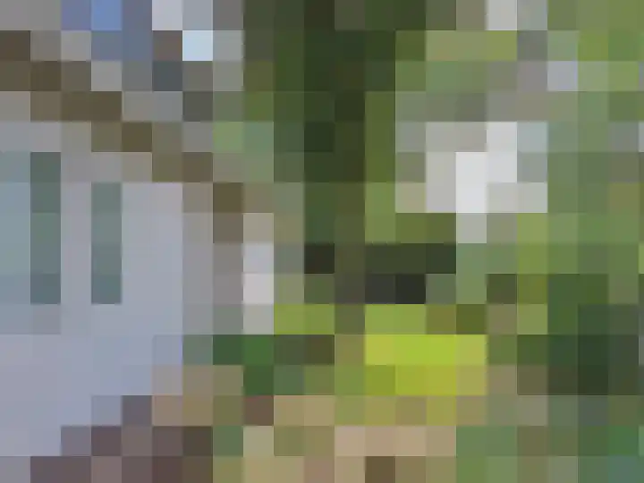 Deusonelaan 10 Diessen thumbnail 64