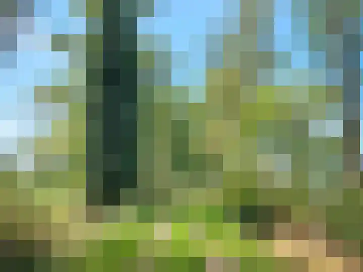 Deusonelaan 10 Diessen thumbnail 67