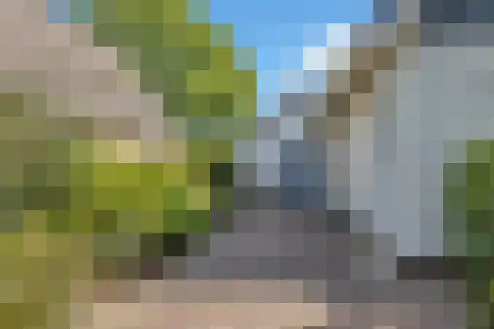Deusonelaan 10 Diessen thumbnail 8