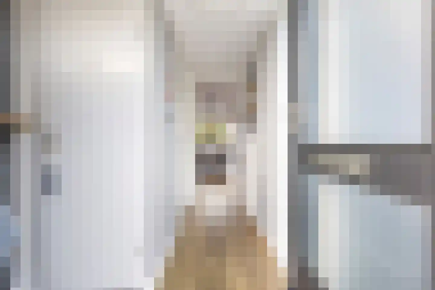 Deutechemstrjitte 7 Surhuizum thumbnail 14