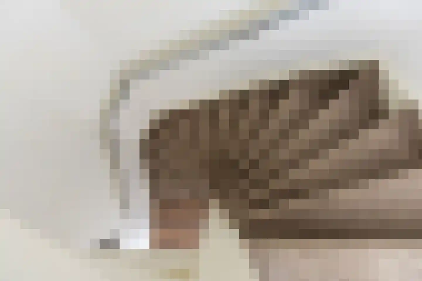 Deutechemstrjitte 7 Surhuizum thumbnail 16
