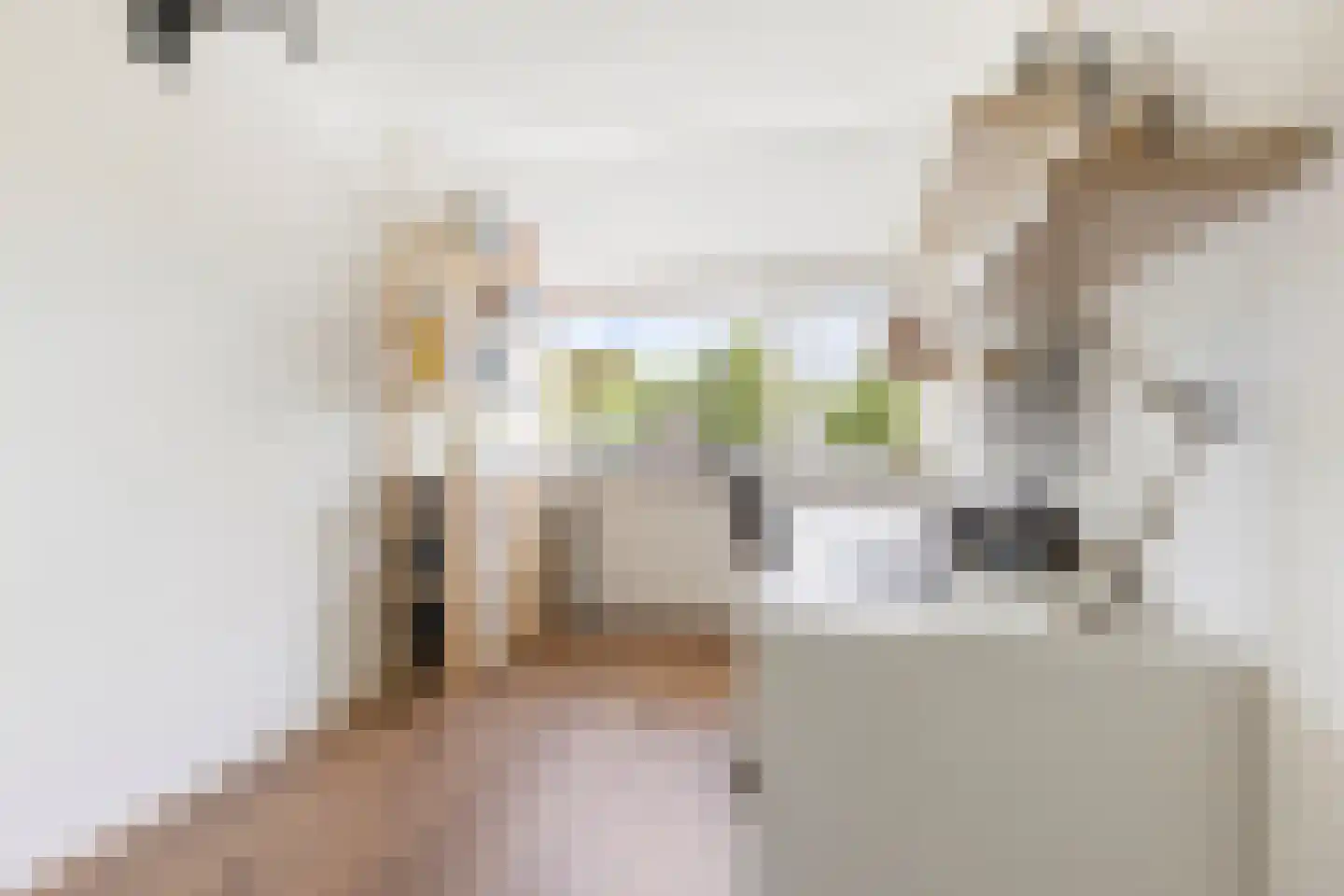 Deutechemstrjitte 7 Surhuizum thumbnail 19