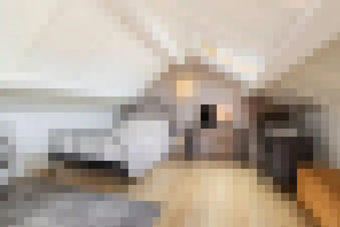 Deutechemstrjitte 7 Surhuizum thumbnail 24