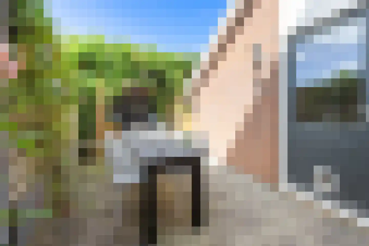 Deutechemstrjitte 7 Surhuizum thumbnail 26