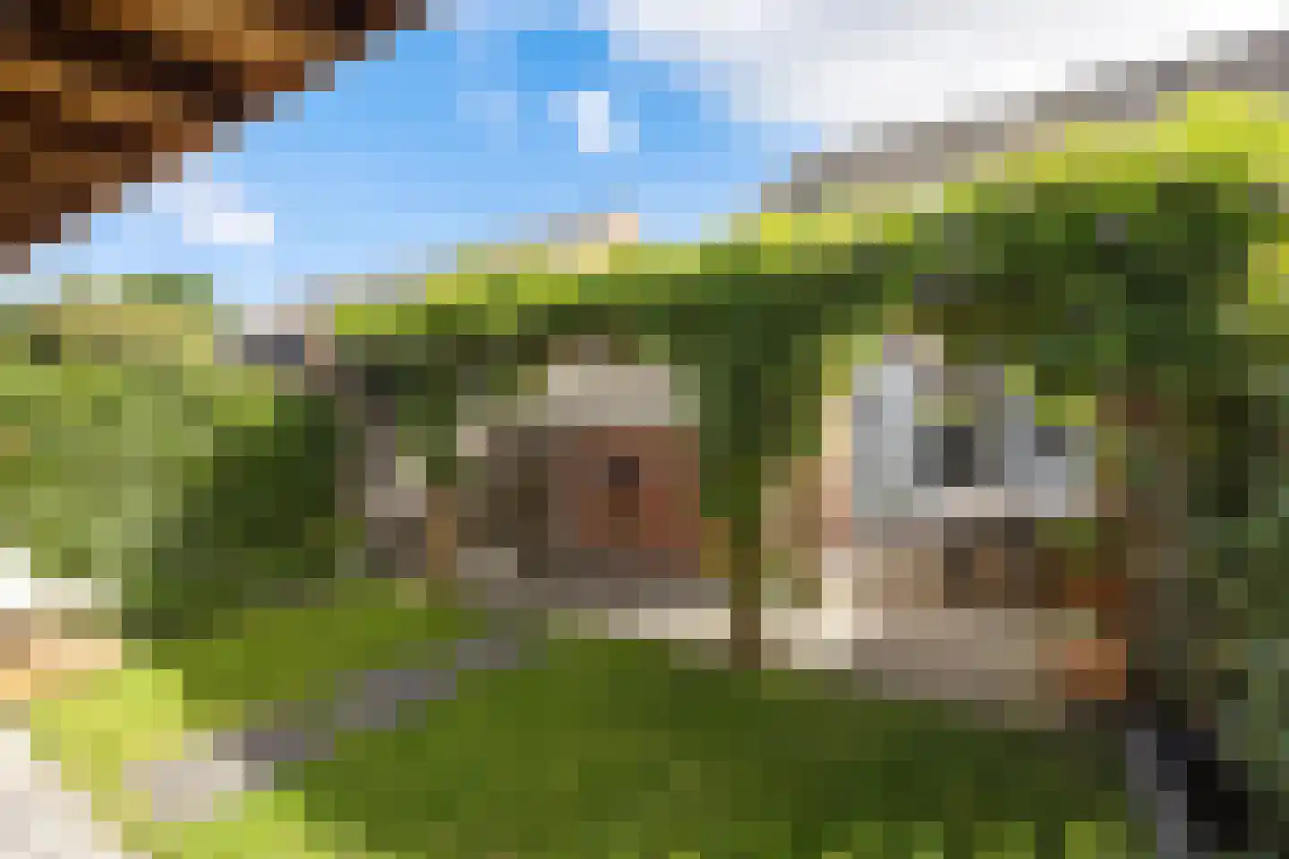Deutechemstrjitte 7 Surhuizum thumbnail 28