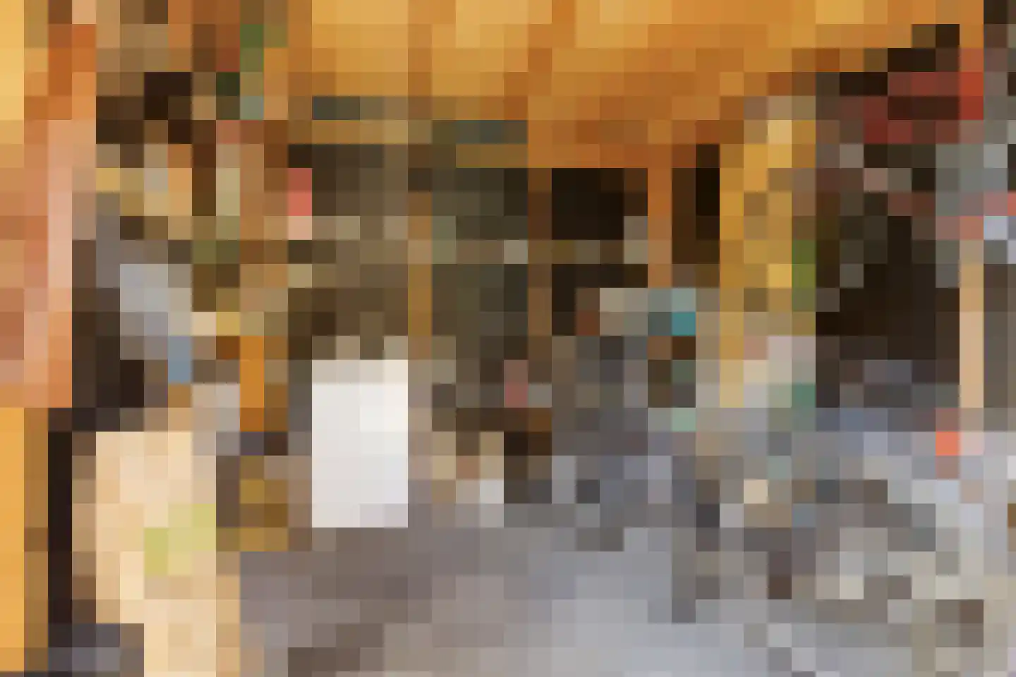 Deutechemstrjitte 7 Surhuizum thumbnail 32