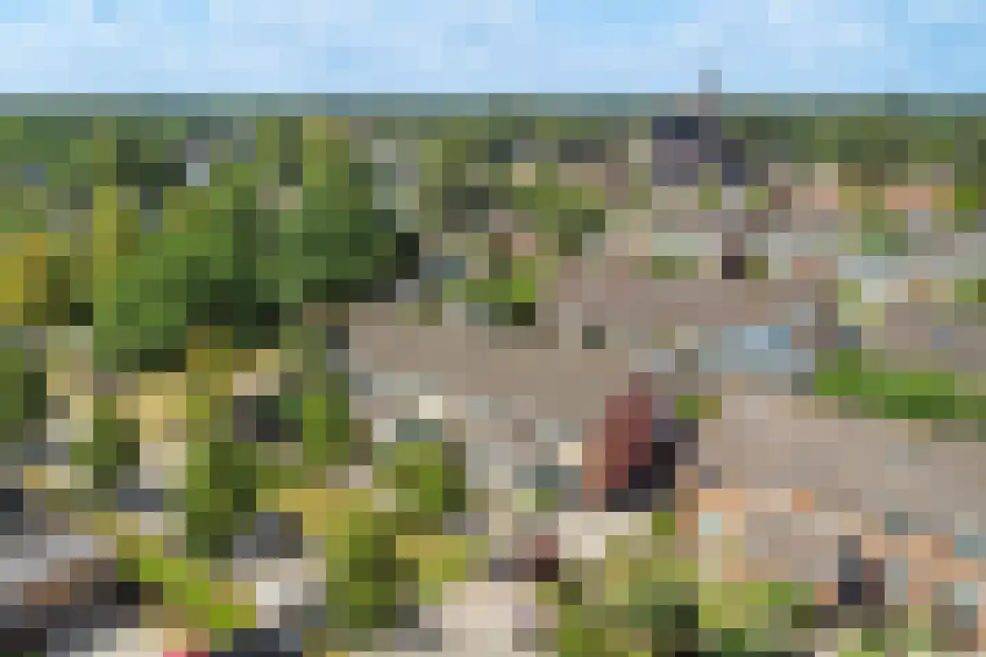 Deutechemstrjitte 7 Surhuizum thumbnail 39