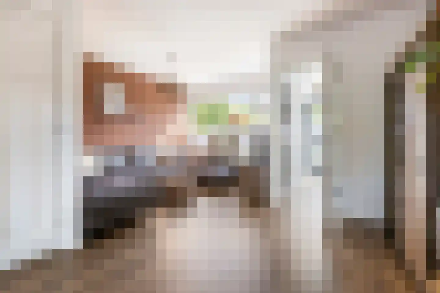 Deutechemstrjitte 7 Surhuizum thumbnail 4