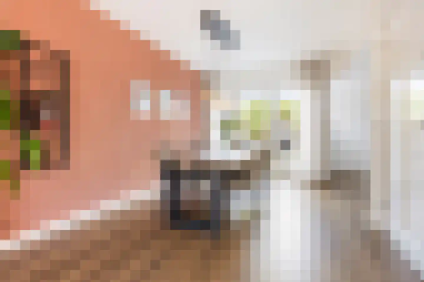Deutechemstrjitte 7 Surhuizum thumbnail 6