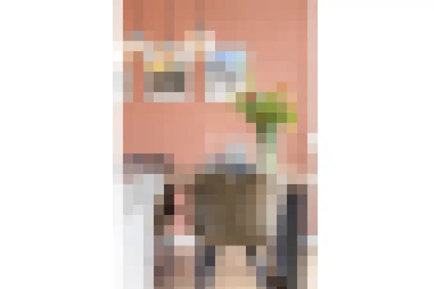 Deutechemstrjitte 7 Surhuizum thumbnail 7
