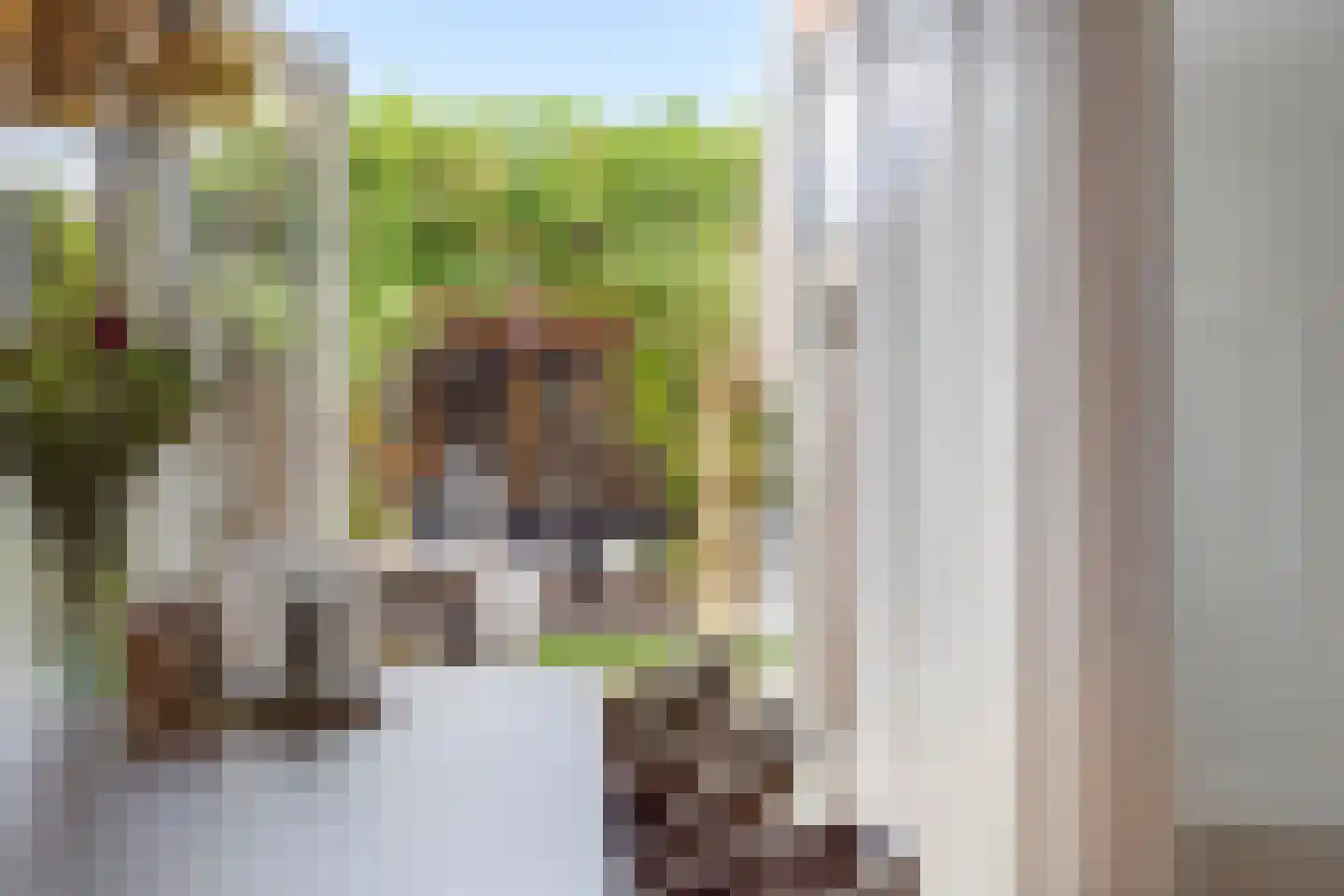 Deutechemstrjitte 7 Surhuizum thumbnail 8