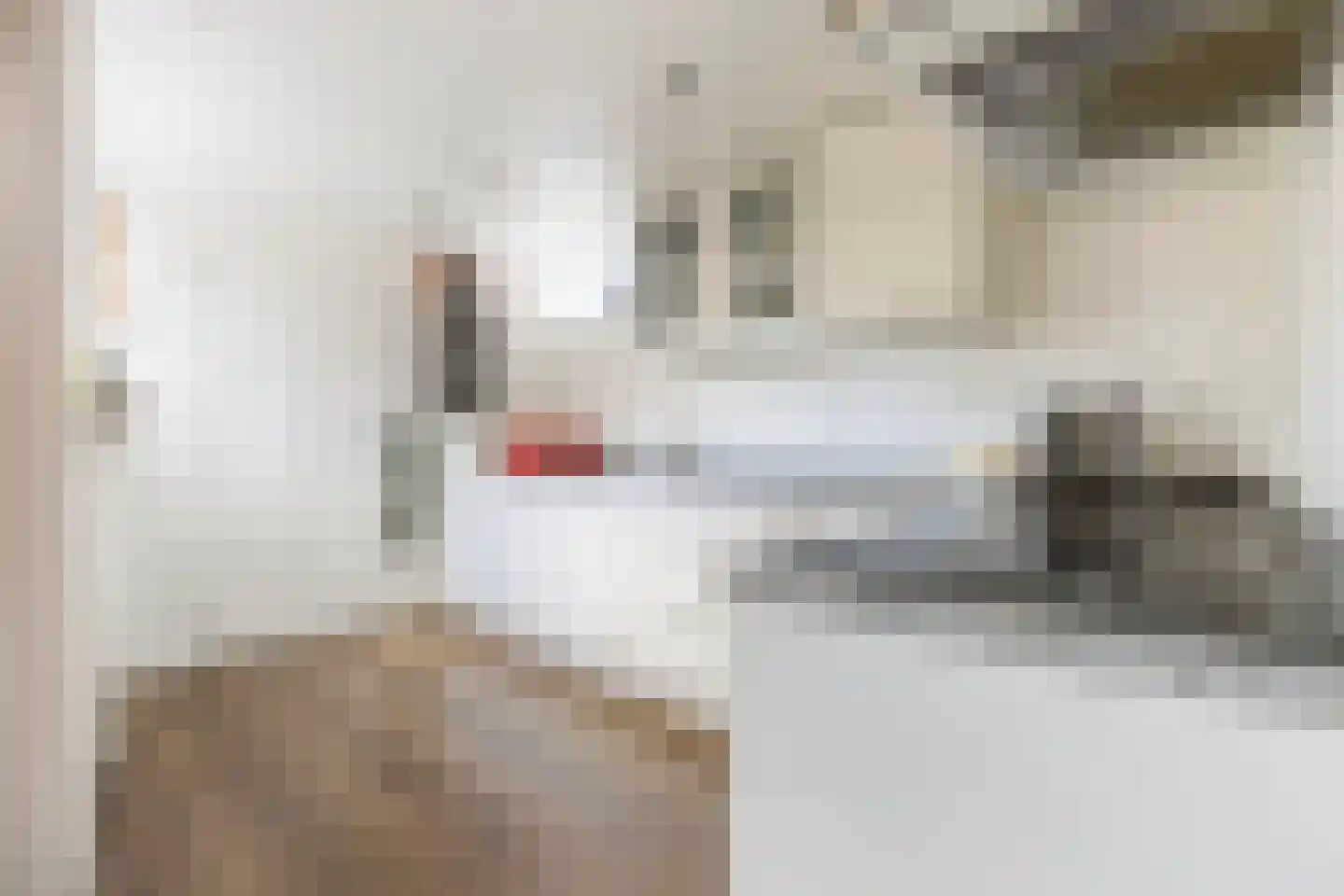 Deutechemstrjitte 7 Surhuizum thumbnail 9