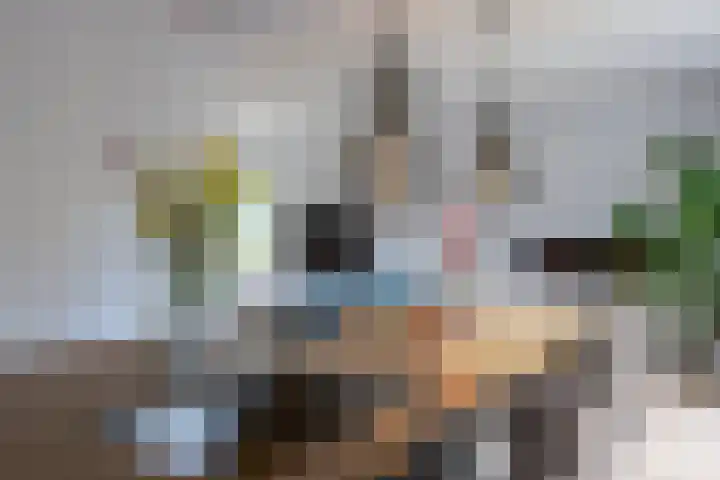 Deutersestraat 3 Cromvoirt thumbnail 12