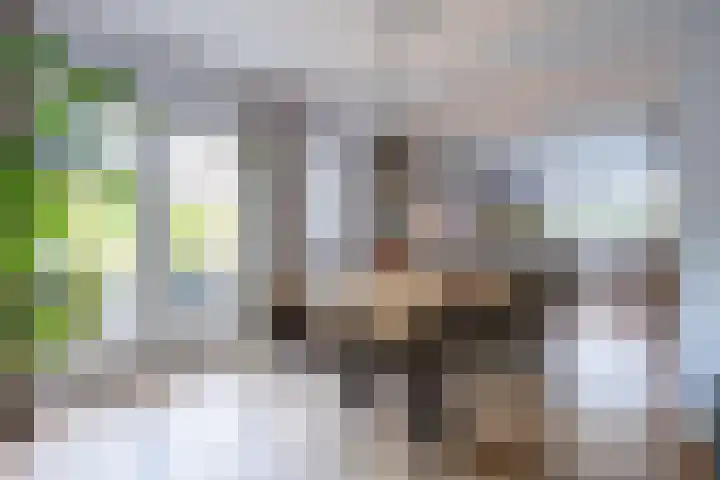 Deutersestraat 3 Cromvoirt thumbnail 13