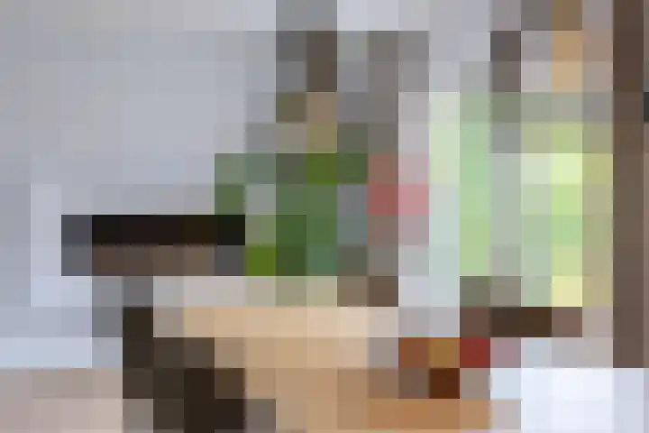 Deutersestraat 3 Cromvoirt thumbnail 14