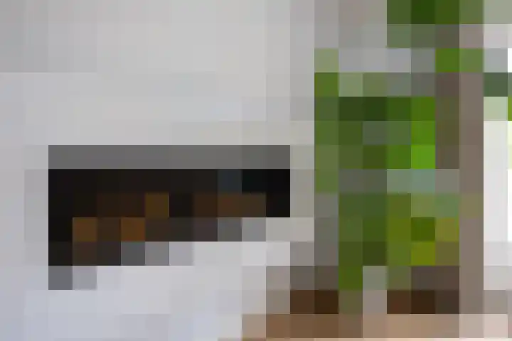 Deutersestraat 3 Cromvoirt thumbnail 16