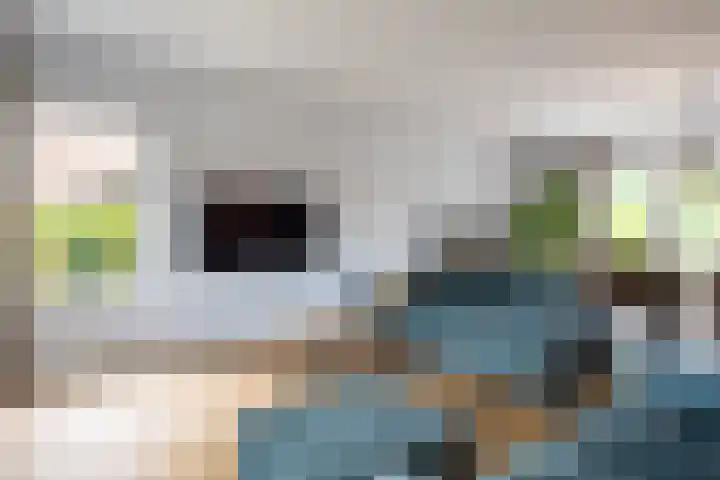Deutersestraat 3 Cromvoirt thumbnail 17