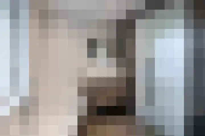 Deutersestraat 3 Cromvoirt thumbnail 20
