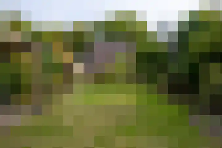 Deutersestraat 3 Cromvoirt thumbnail 29
