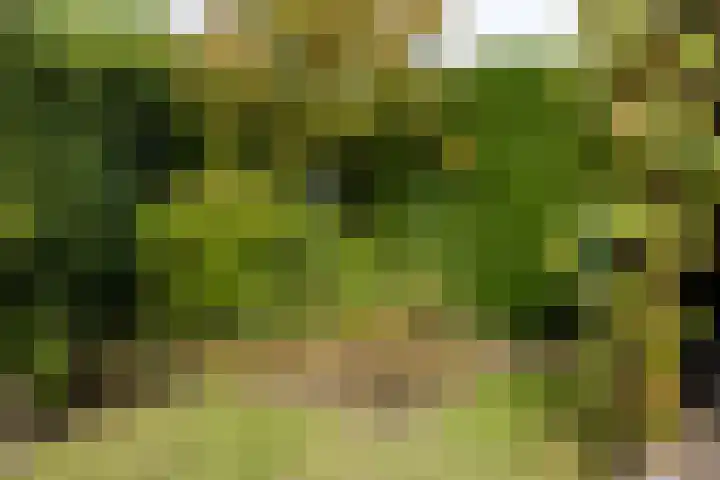 Deutersestraat 3 Cromvoirt thumbnail 33