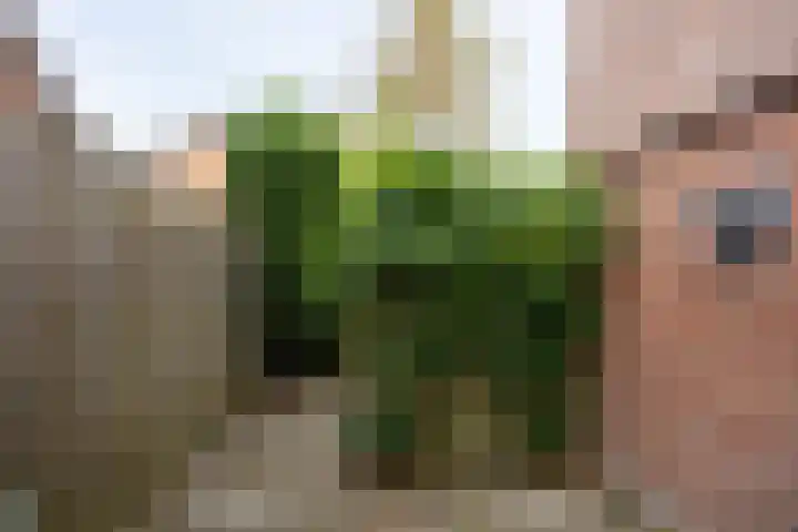 Deutersestraat 3 Cromvoirt thumbnail 37