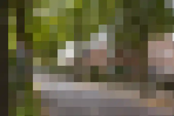 Deutersestraat 3 Cromvoirt thumbnail 38