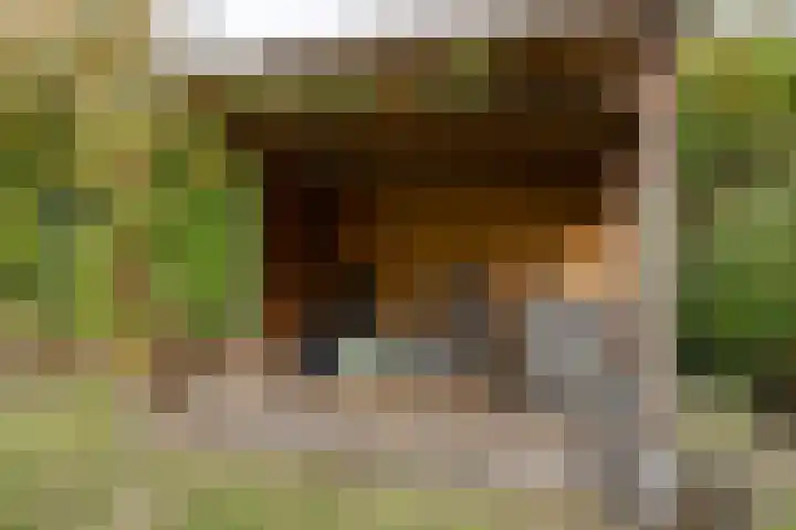 Deutersestraat 3 Cromvoirt thumbnail 39