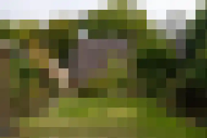 Deutersestraat 3 Cromvoirt thumbnail 4