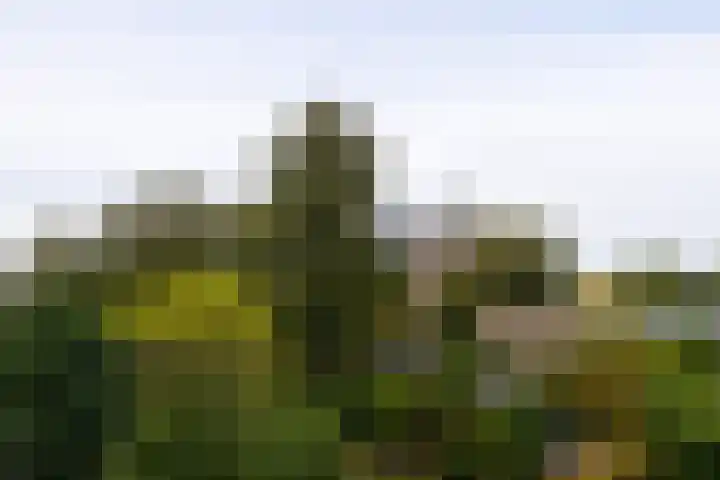 Deutersestraat 3 Cromvoirt thumbnail 41