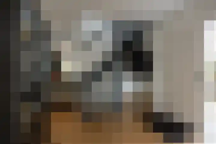 Deutersestraat 3 Cromvoirt thumbnail 6
