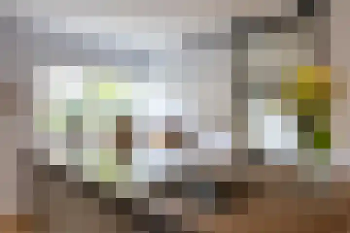 Deutersestraat 3 Cromvoirt thumbnail 8