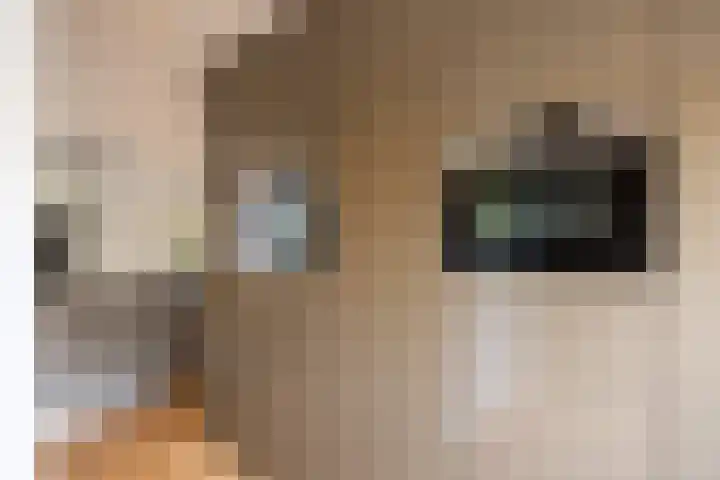 Deutersestraat 3 Cromvoirt thumbnail 9