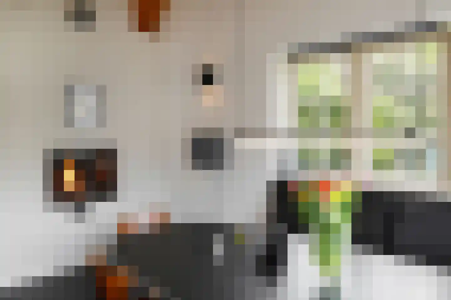 Deutersestraat 5 's-Hertogenbosch thumbnail 20