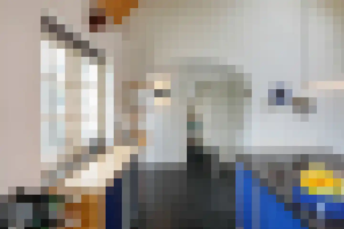 Deutersestraat 5 's-Hertogenbosch thumbnail 21