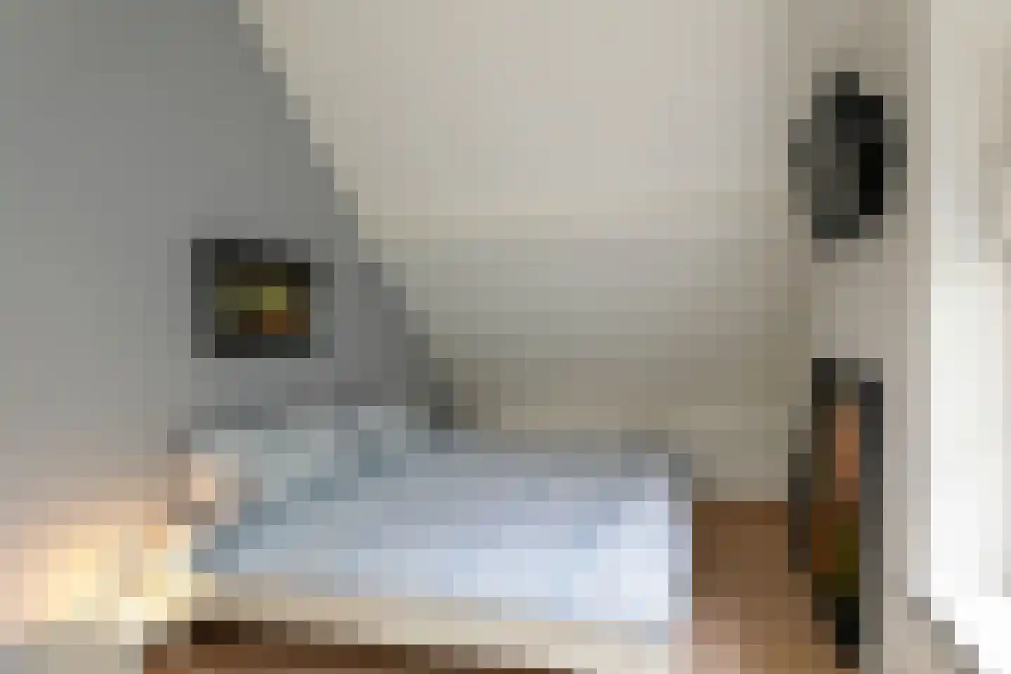 Deutersestraat 5 's-Hertogenbosch thumbnail 31