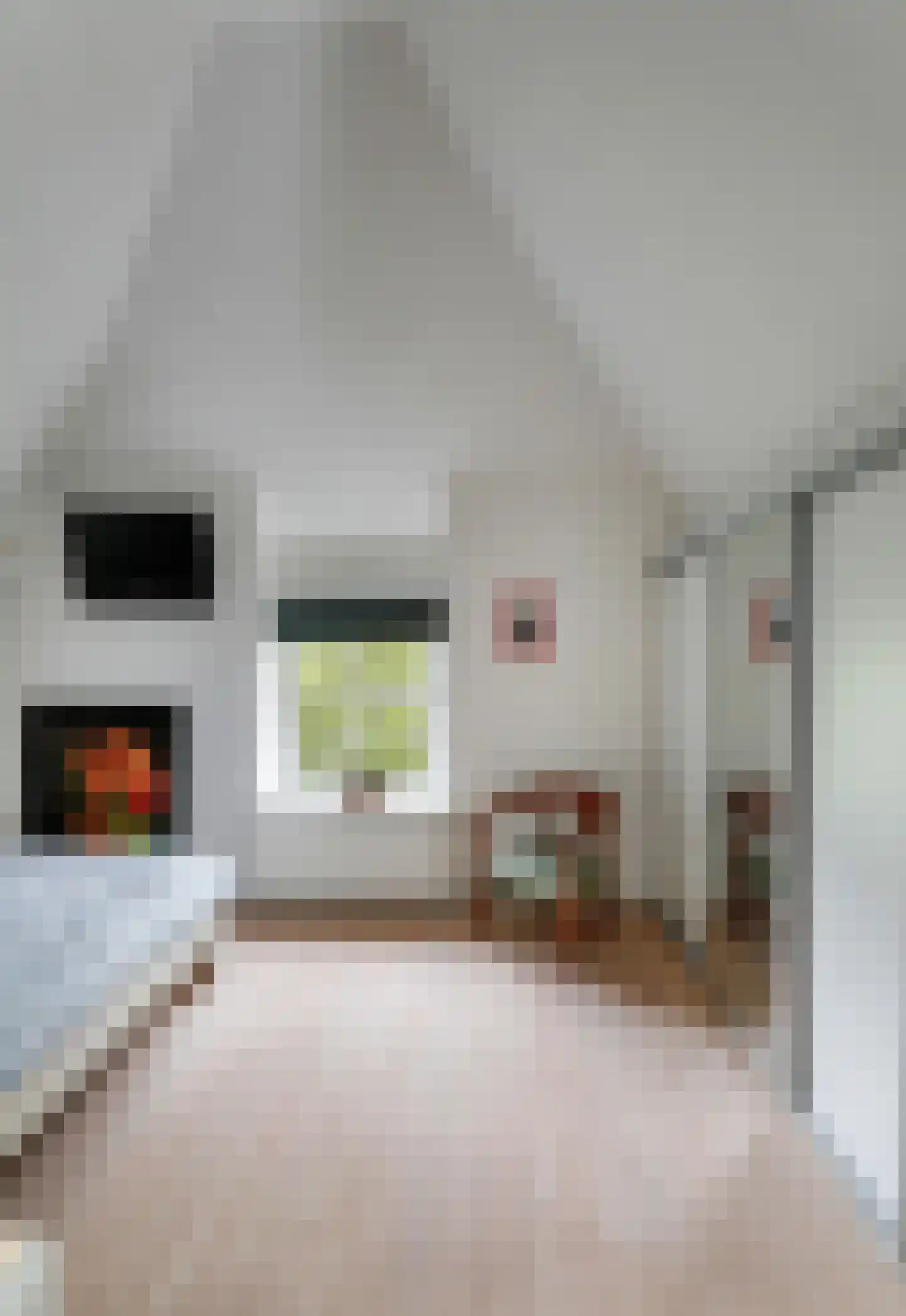 Deutersestraat 5 's-Hertogenbosch thumbnail 32