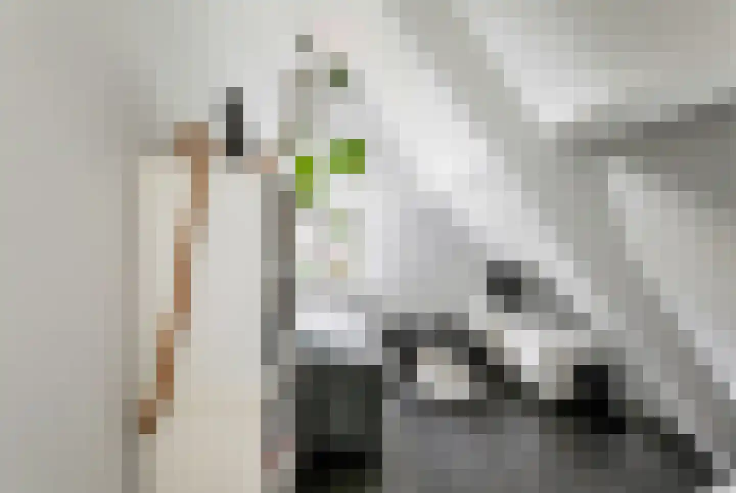 Deutersestraat 5 's-Hertogenbosch thumbnail 34