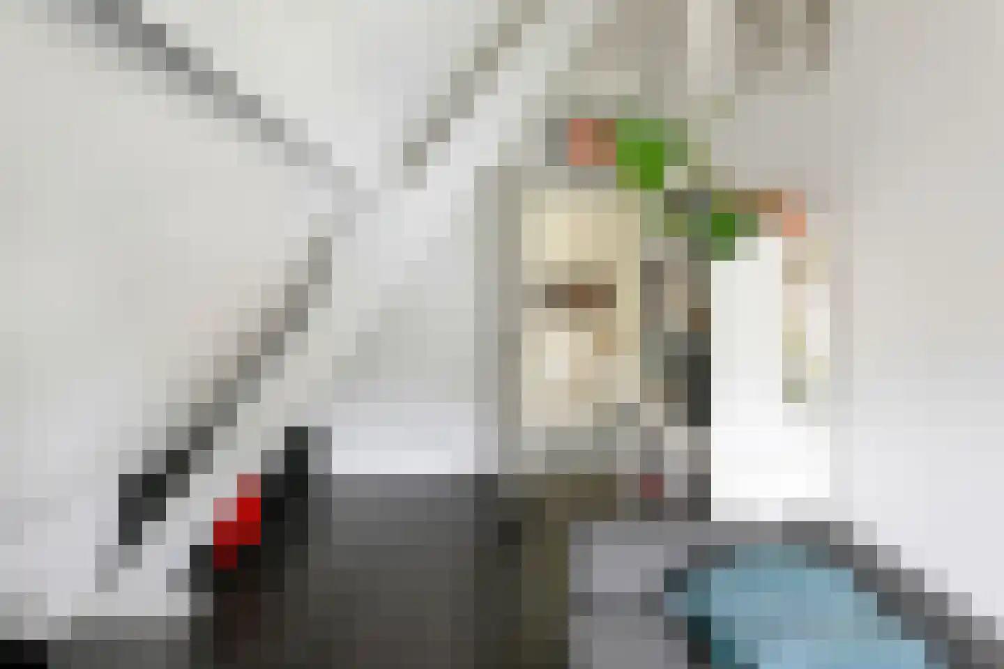 Deutersestraat 5 's-Hertogenbosch thumbnail 35