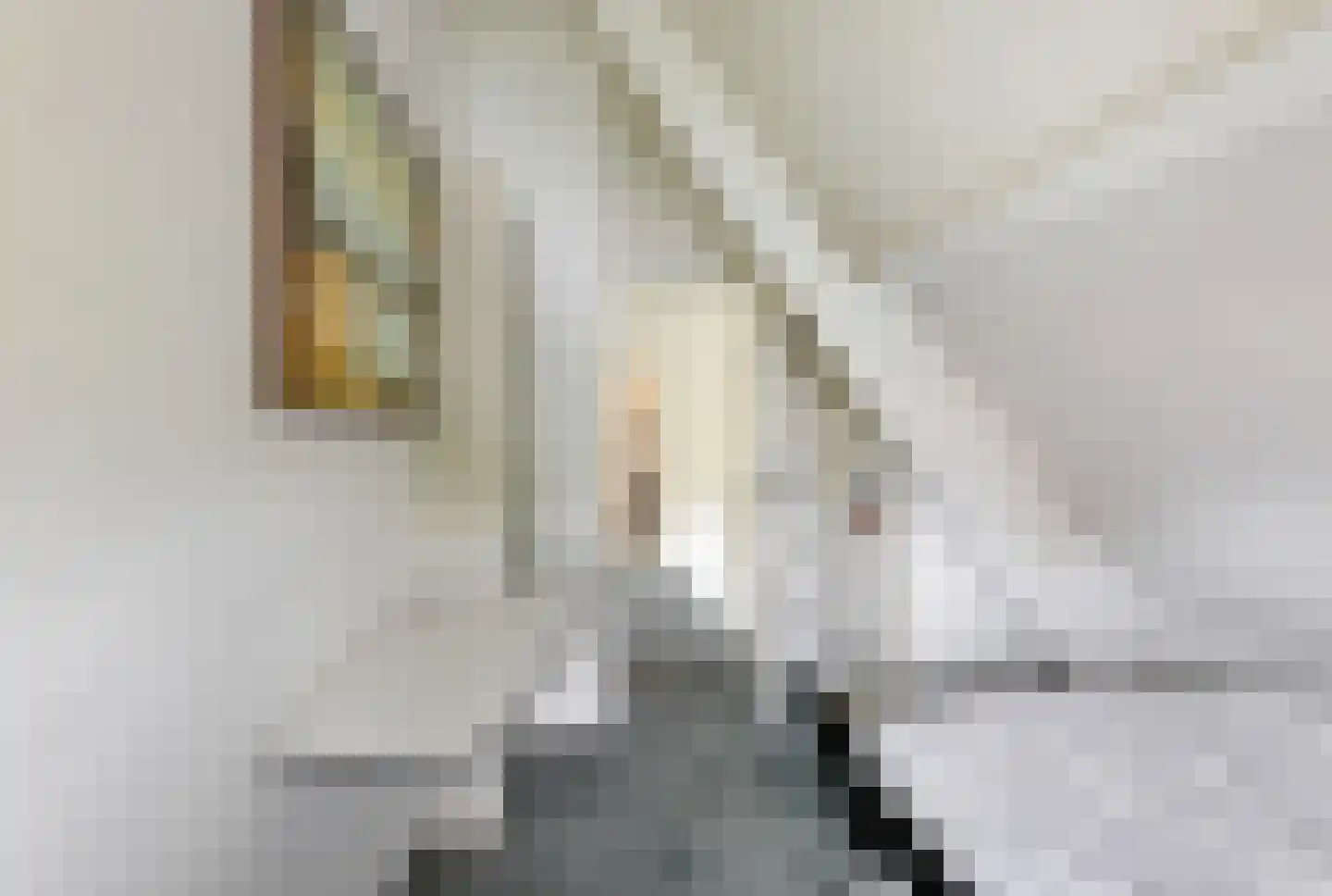 Deutersestraat 5 's-Hertogenbosch thumbnail 36