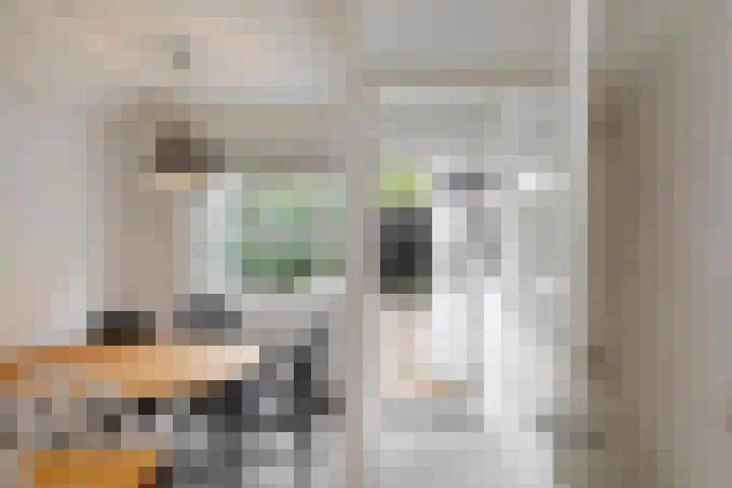 Deutersestraat 5 's-Hertogenbosch thumbnail 45