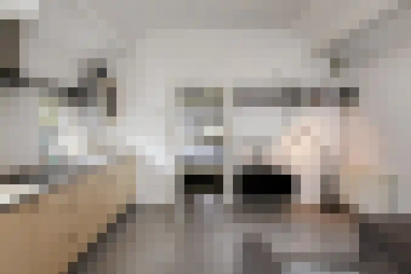 Deutersestraat 5 's-Hertogenbosch thumbnail 48